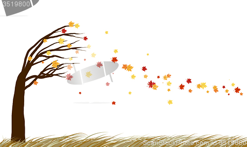 Image of Autumn  design 