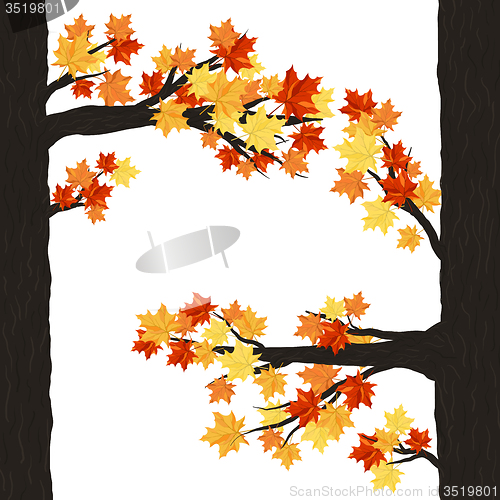 Image of Autumn  design 