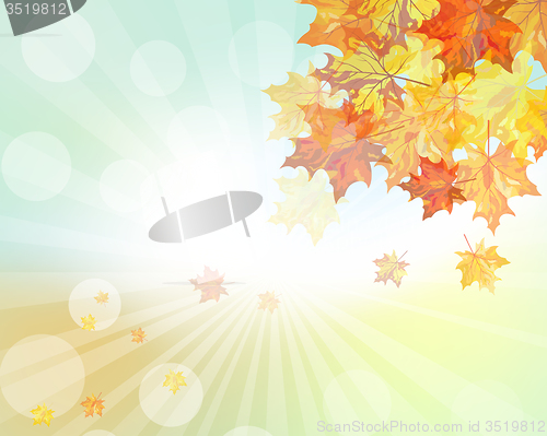 Image of Autumn  design 