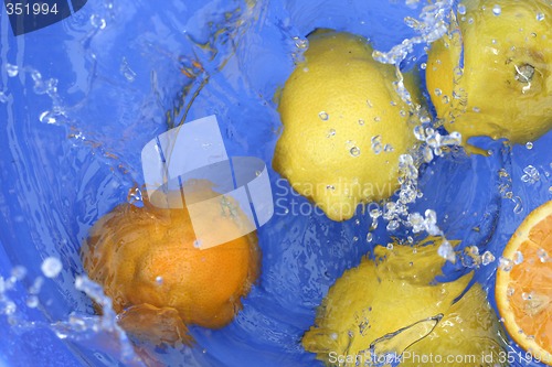 Image of Oranges