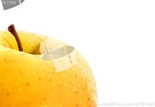 Image of Yellow apple. Macro