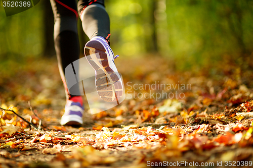 Image of Woman exercise, shoes closeup