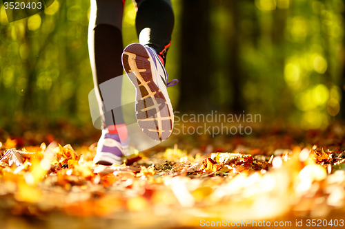 Image of Woman exercise, shoes closeup