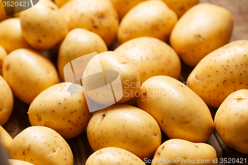 Image of potatoes on wooden background