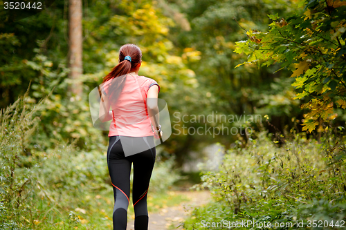 Image of sporty  woman running in forest 