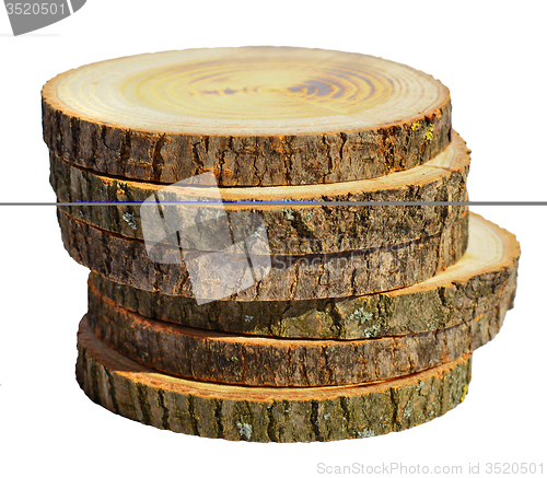 Image of Wood slices