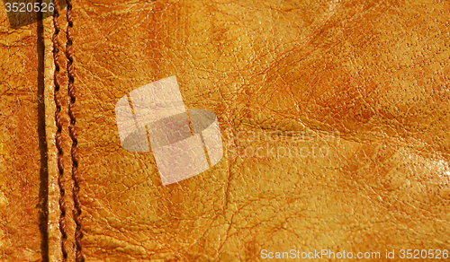 Image of Leather