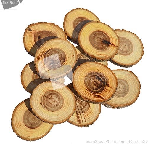 Image of Wood slices