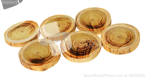 Image of Wood slices