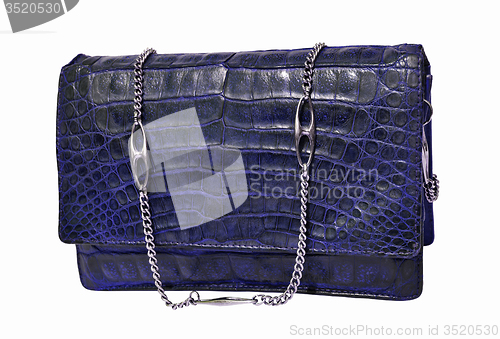 Image of Alligator leather bag