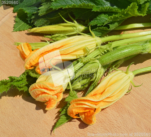 Image of Yellow courgette blossoms