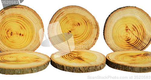 Image of Wood slices