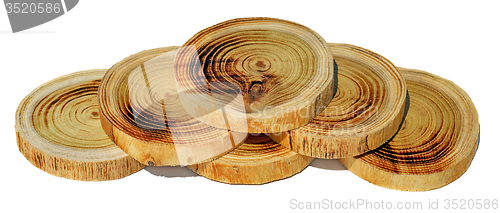 Image of Wood slices