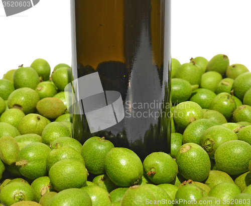Image of Green young walnuts