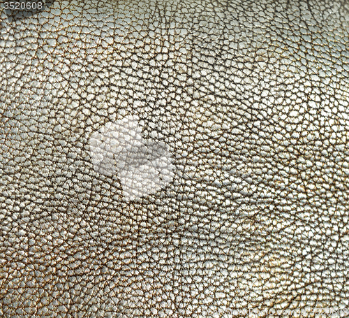 Image of Leather