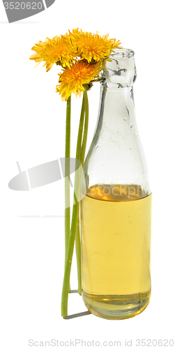Image of Dandelion Wine