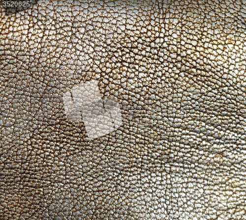 Image of Leather