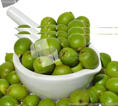 Image of Green young walnuts in husks