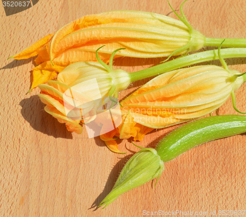 Image of Yellow courgette blossoms