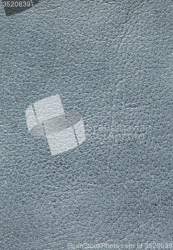 Image of Leather