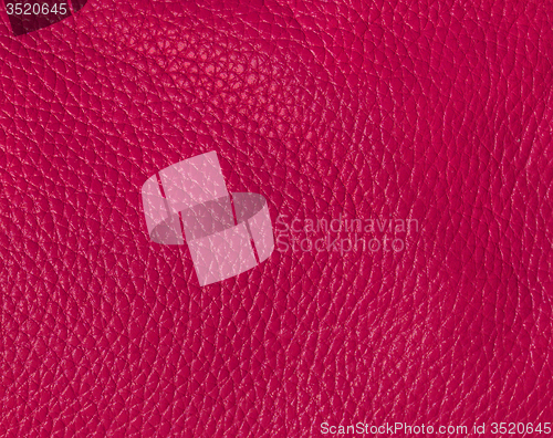Image of Leather