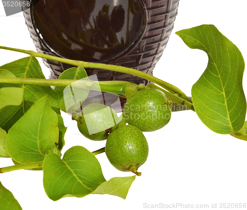 Image of Green young walnuts