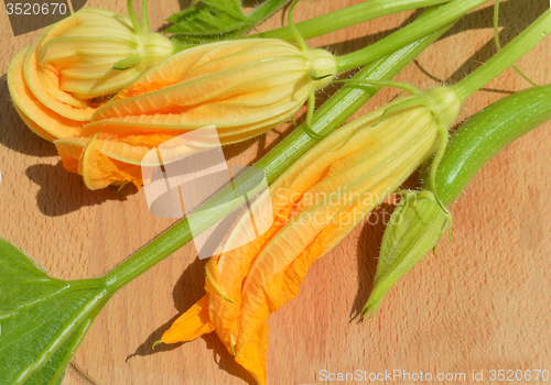 Image of Yellow courgette blossoms