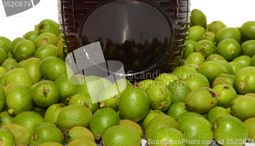 Image of Green young walnuts