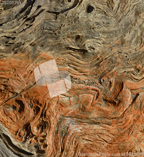 Image of Wood