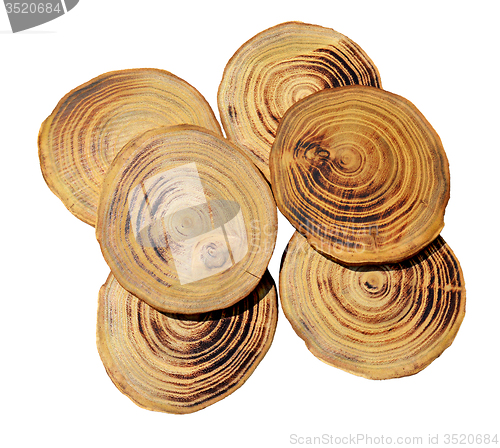 Image of Wood slices