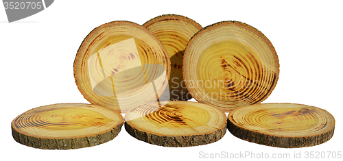 Image of Wood slices