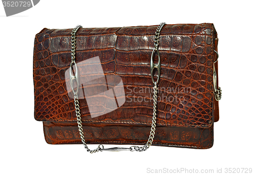 Image of Alligator leather bag