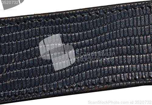 Image of Leather belt