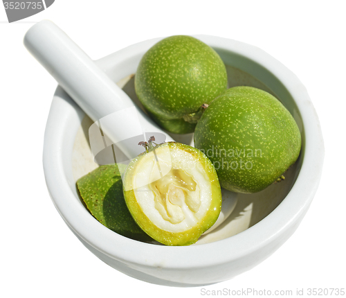 Image of Green young walnuts in husks
