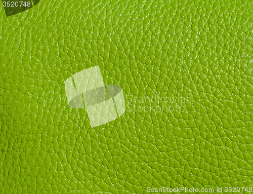 Image of Leather