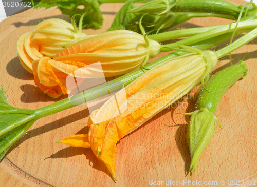 Image of Yellow courgette blossoms