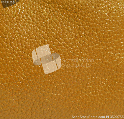 Image of Leather