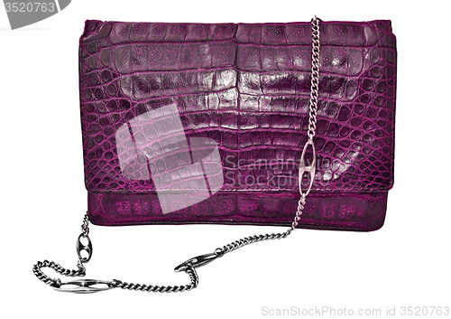 Image of Alligator leather bag