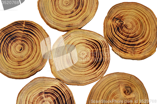 Image of Wood slices