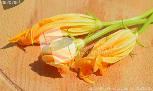 Image of Yellow courgette blossoms