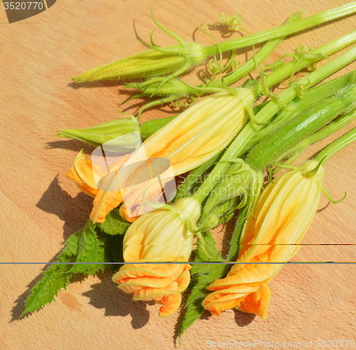 Image of Yellow courgette blossoms