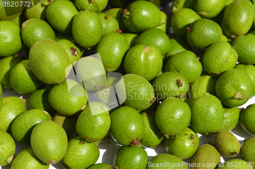 Image of Green young walnuts