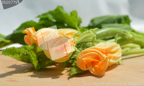 Image of Yellow courgette blossoms