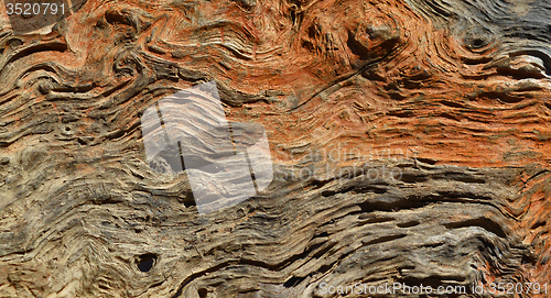 Image of Wood