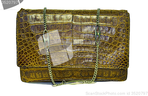 Image of Alligator leather bag