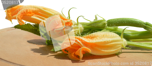 Image of Yellow courgette blossoms