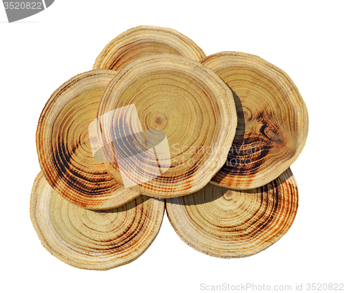 Image of Wood slices