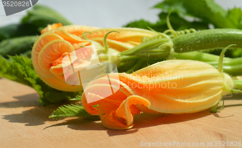 Image of Yellow courgette blossoms