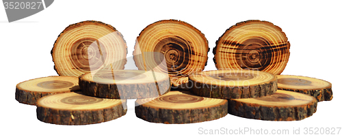 Image of Wood slices