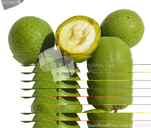 Image of Green young walnuts